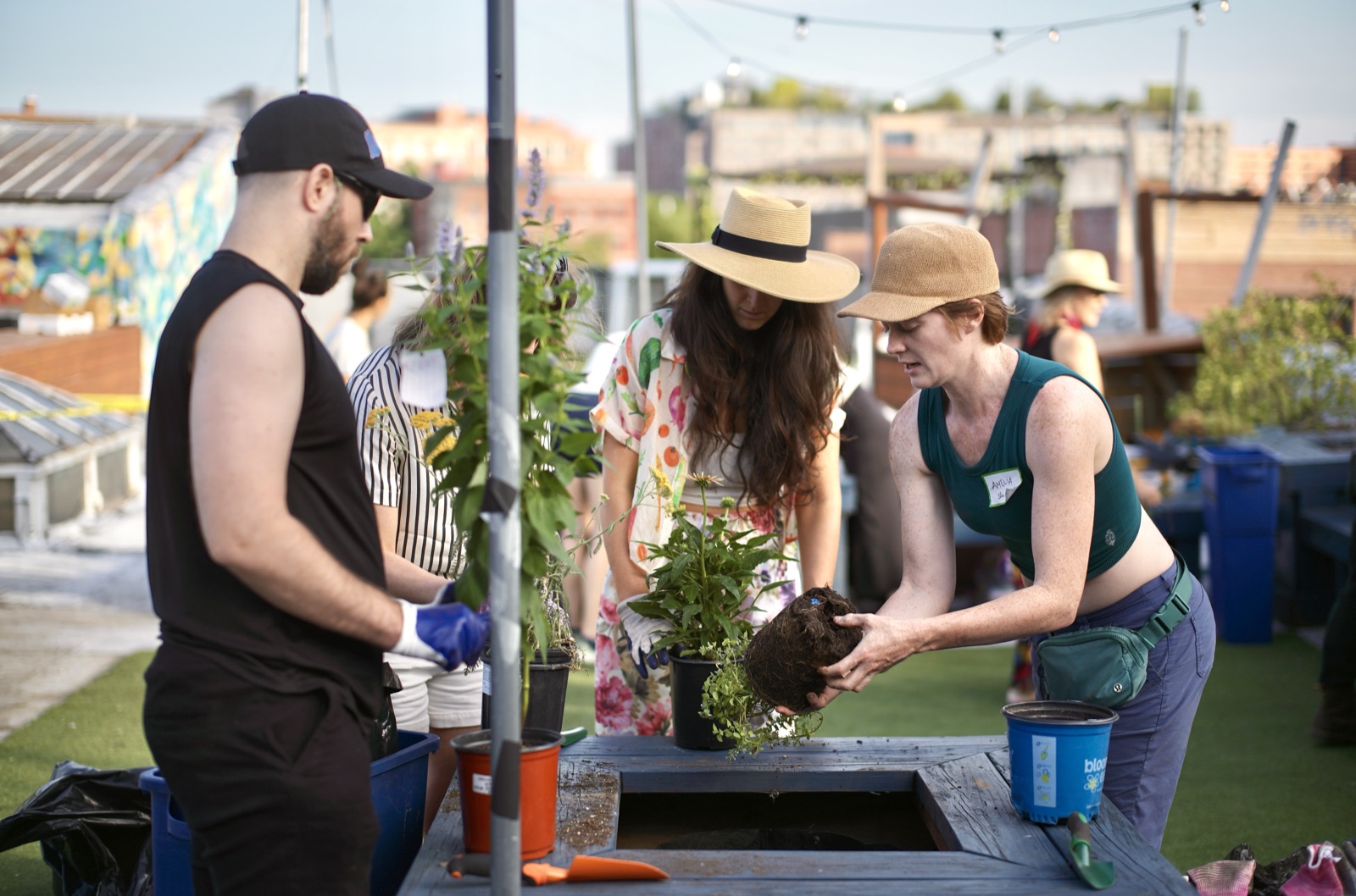 Up on the rooftop at golden hour, the group eases a root ball into a raised planter together.