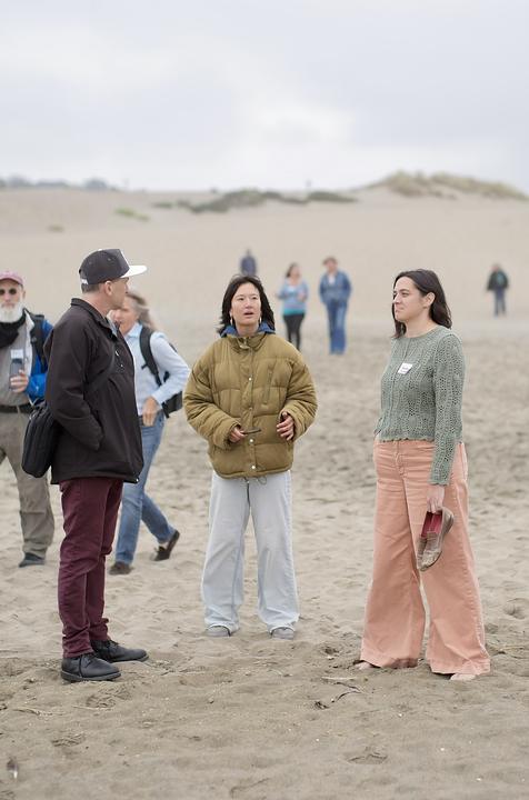 Out on the sand by the dunes