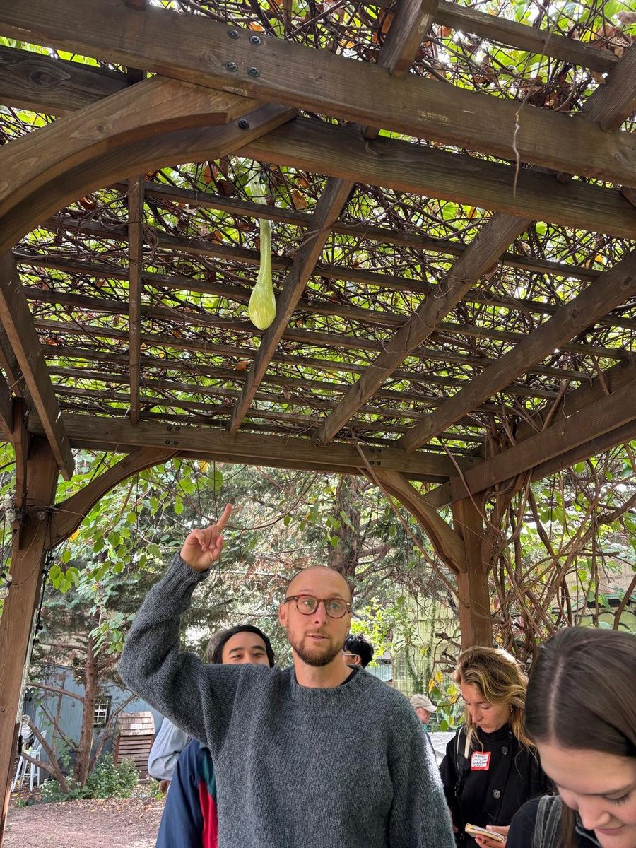 A walker under a garden pergola pointing up at a gourd hanging from the vines.