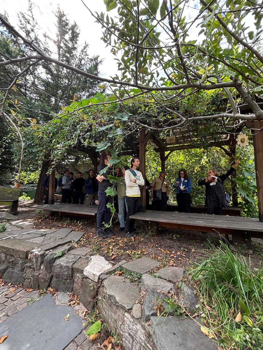 The pergola and stage at La Plaza Cultural, the group gathered in its shade.