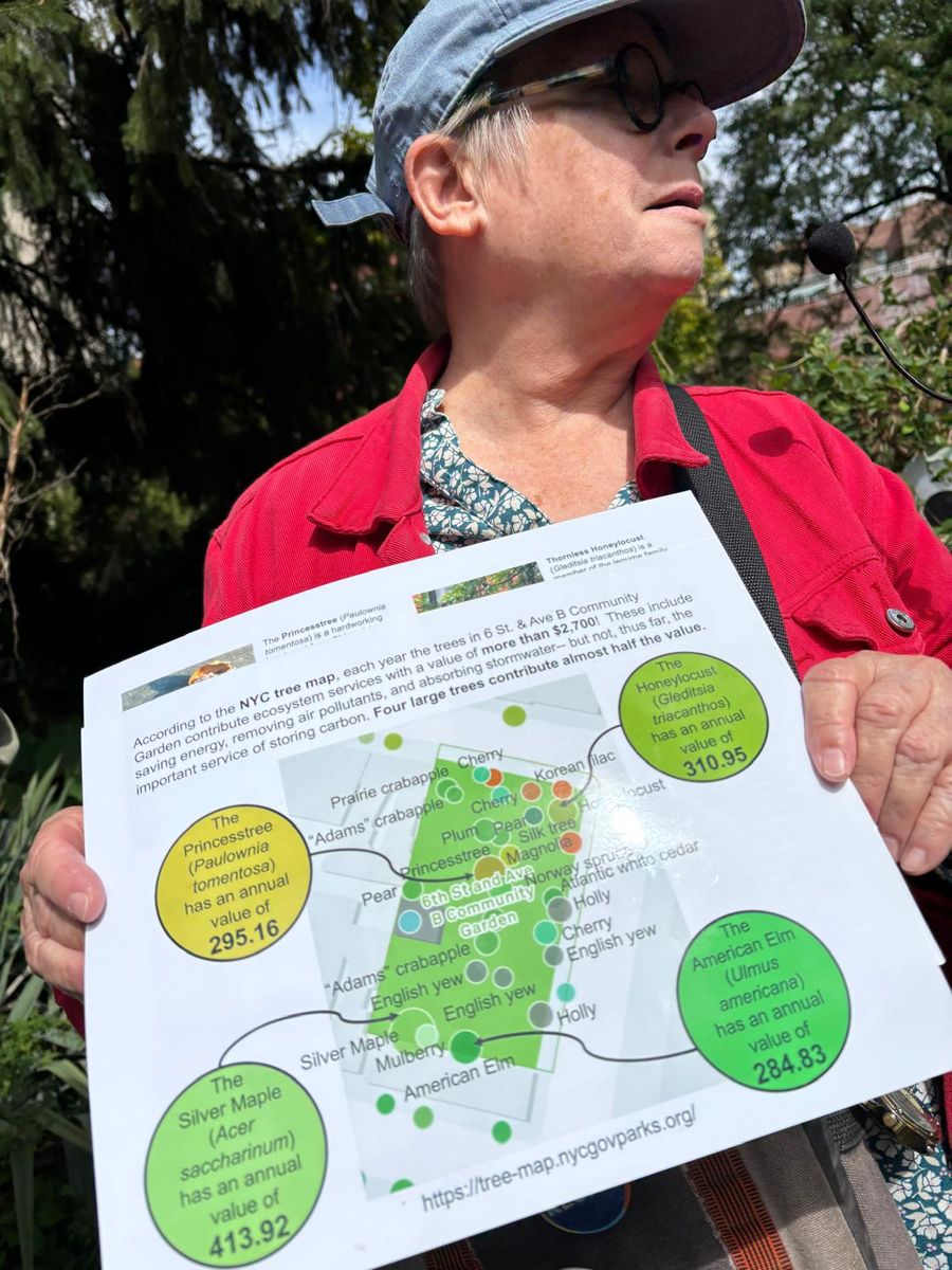 Amy Berkov holding up the Tree Map values for the garden's biggest trees at 6 & B.