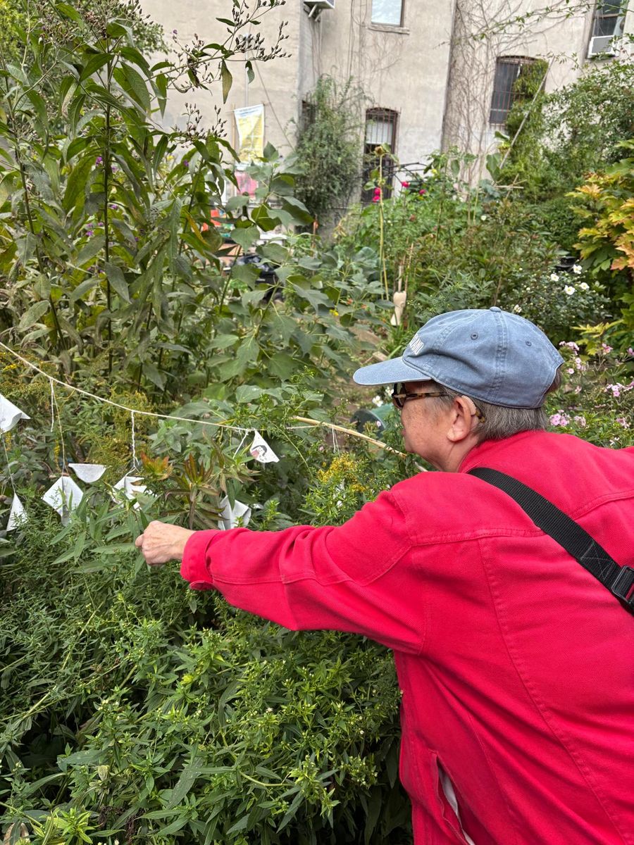 Amy Berkov reaching into the plants to show the group a vine.
