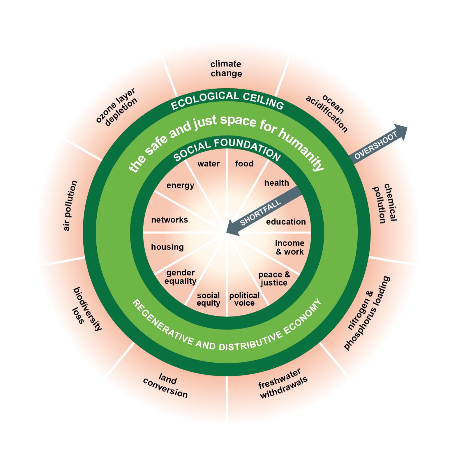 Kate Raworth's doughnut diagram: an inner social foundation ring and an outer ecological ceiling ring, with the safe and just space between them